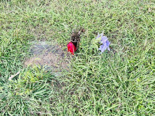 What's left of my Nana and Pop's headstone