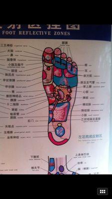 Traditional Chinese medicine reflexology chart.