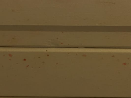 Blood stains on ceiling