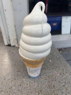 Vanilla cone