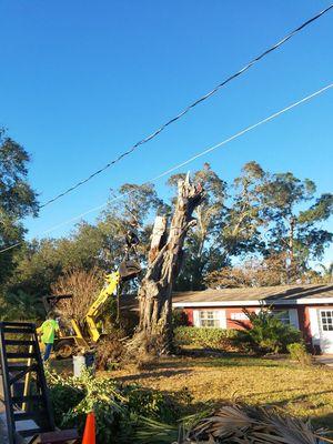 Blackstock's Tree Service