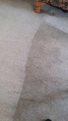 15 yr old carpet... May not look new but WOW is it clean