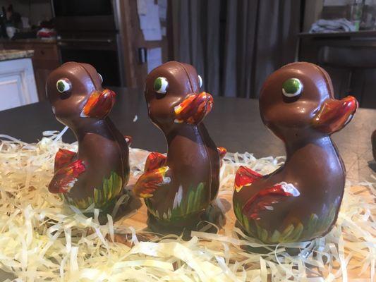 Daniela just finished more Easter Ducks !!!!