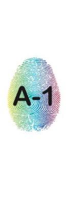 A-1 Fingerprinting & Drug Screening