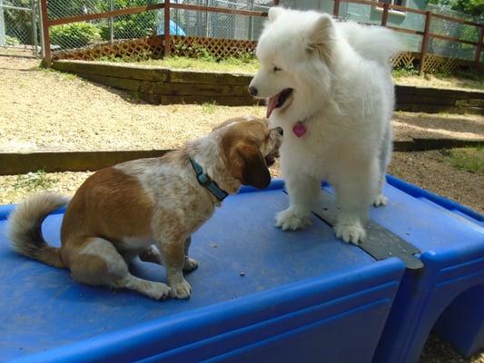 Playtime at the resort!