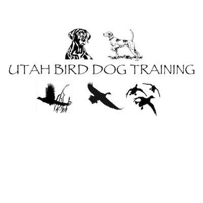 Utah Bird Dog Training