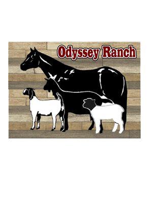 Odyssey Ranch