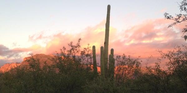 Beautiful Tucson