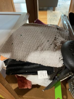 Mice chewed up items