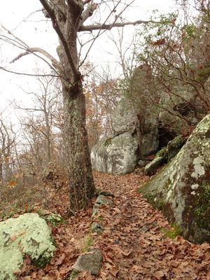 Mary's Rock trail