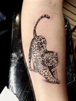 Artist:Alex with this black and grey cheetah tattoo