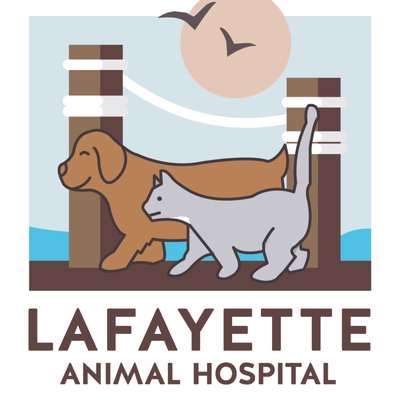 Lafayette Animal Hospital