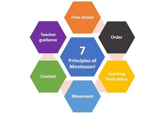 Principles of Montessori