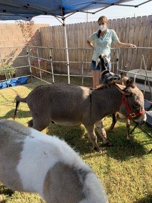 Kim's Birthday Party Petting Zoo