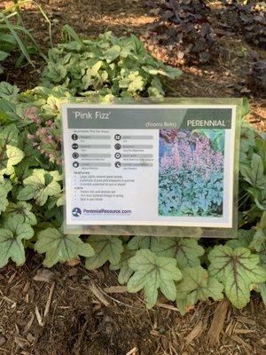 Kent/MSU Extension Grand Ideas Garden - lots of informational signage