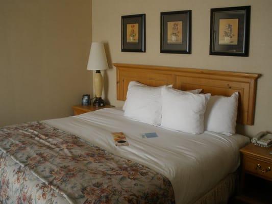 The Bed: Hilton Raleigh-Durham Airport