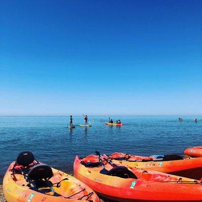 An awesome day renting stand-up paddleboards and kayaks on Silver Beach in St. Joseph, Michigan.