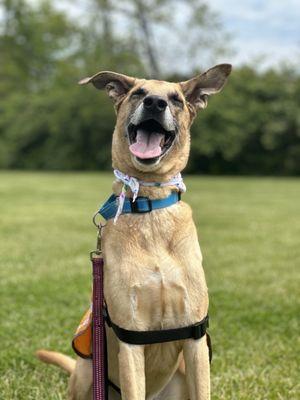 Edgar on a day trip with me and my mom (lfaw volunteers)! He was adopted on this trip!!