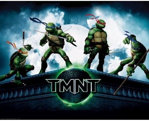 Teenage Mutant Ninja Turtles banner