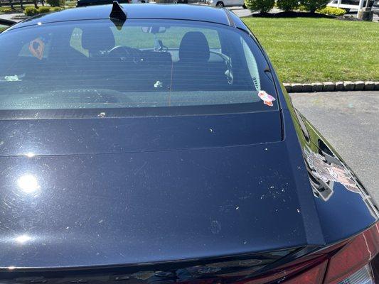 Bird shit still on car...why would I go here again.  This is the new Lakewood location