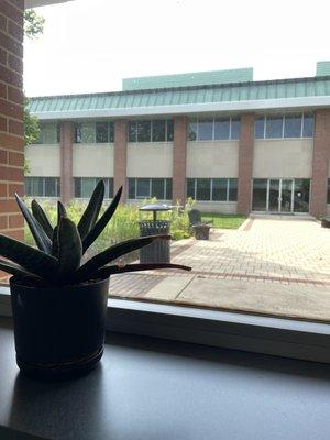 Plants in the halls and courtyard