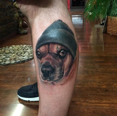 Pet portrait by Brian Murphy