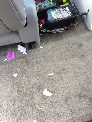 Grease and chewed up paper from animals being let in your vehicles while in their garage