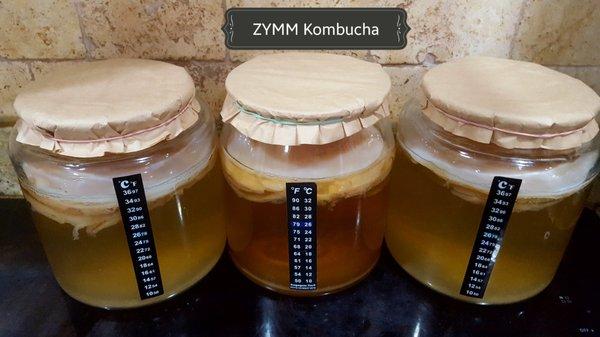 House-Fermented Organic Kombucha