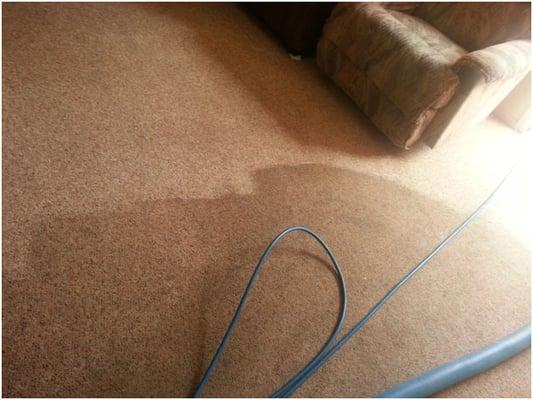 carpet cleaning Tucson AZ before and after