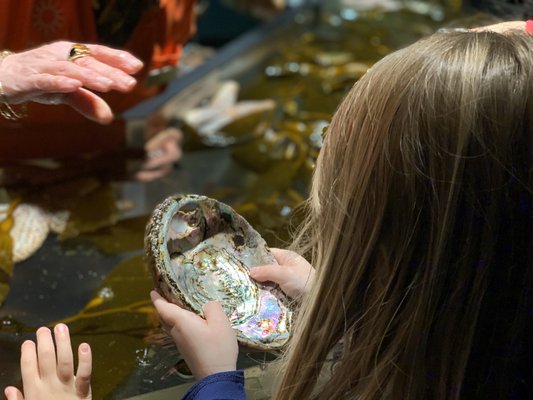 California Academy of Science