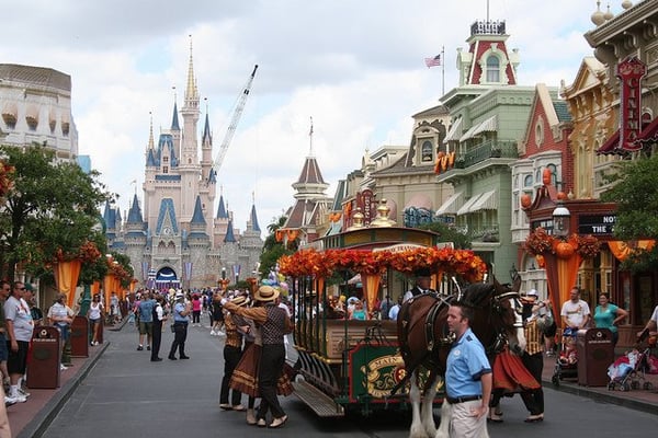 Disney World transportation service so good and professional. We feel Disney tale is 100%