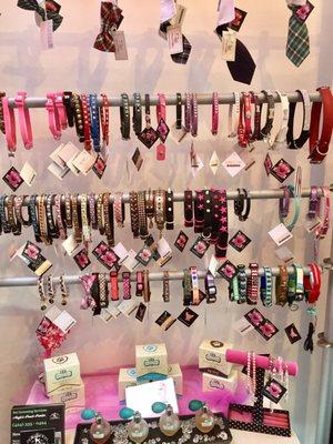 Variety of Puppy or Dog Collars