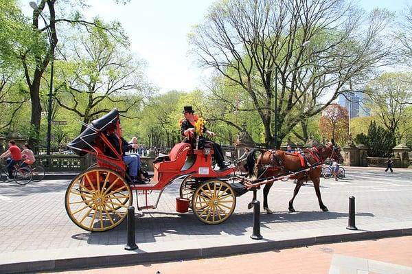 Central Park carriage tours