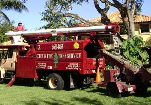 Cut Rite Tree Service