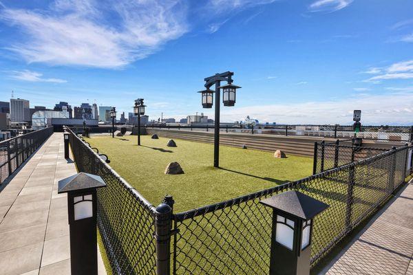 Rooftop dog run with a view!