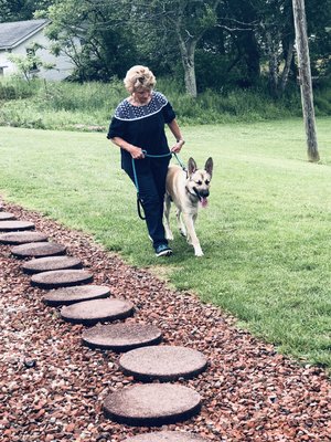 Basic Obedience training K9 Titan