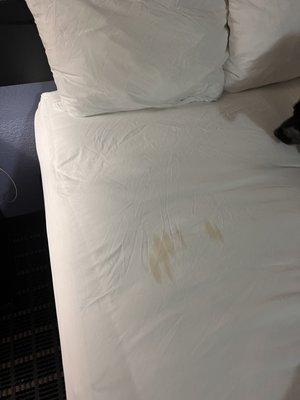 Dirty sheets