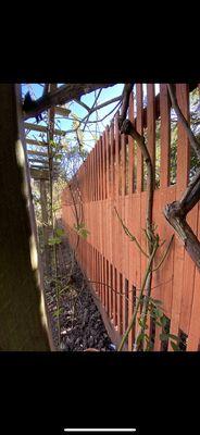 Custom Made Fence as how our client wanted it