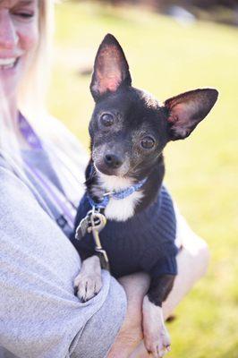 A small dog looking at the camera while being held by a smiling woman.