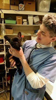 Dr. Frobose treating a clients frenchie!