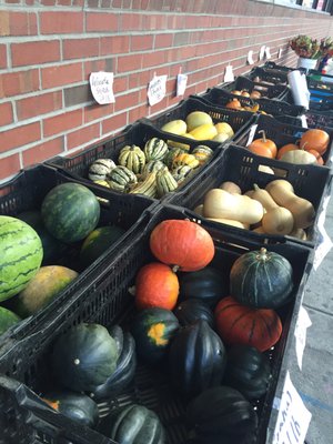 Farmers Market