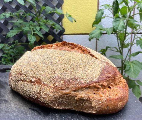 a glorious caraway rye loaf
 please lobby seed for rye to be baked more often. they said it fails to sell, but it's not on the website so...