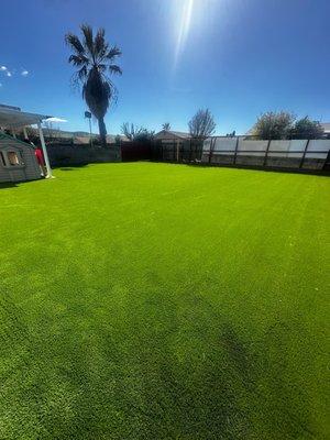 Back yard turf