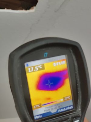 Infrared technology to detect hidden moisture behind materials.