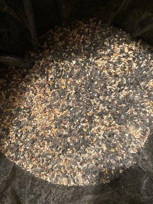 Moldy bird seed