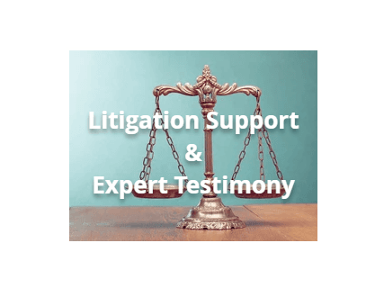 Litigation Support and Expert Testimony