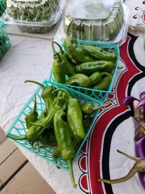 Shisiedo peppers to blister!