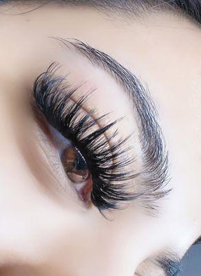 Strip lash