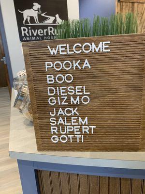 River Run Animal Hospital