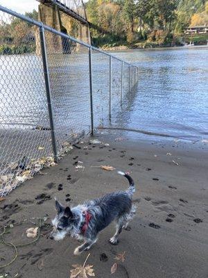 Fisherman, dog walkers and wildlife are among the most frequent users of this space that was fenced off.